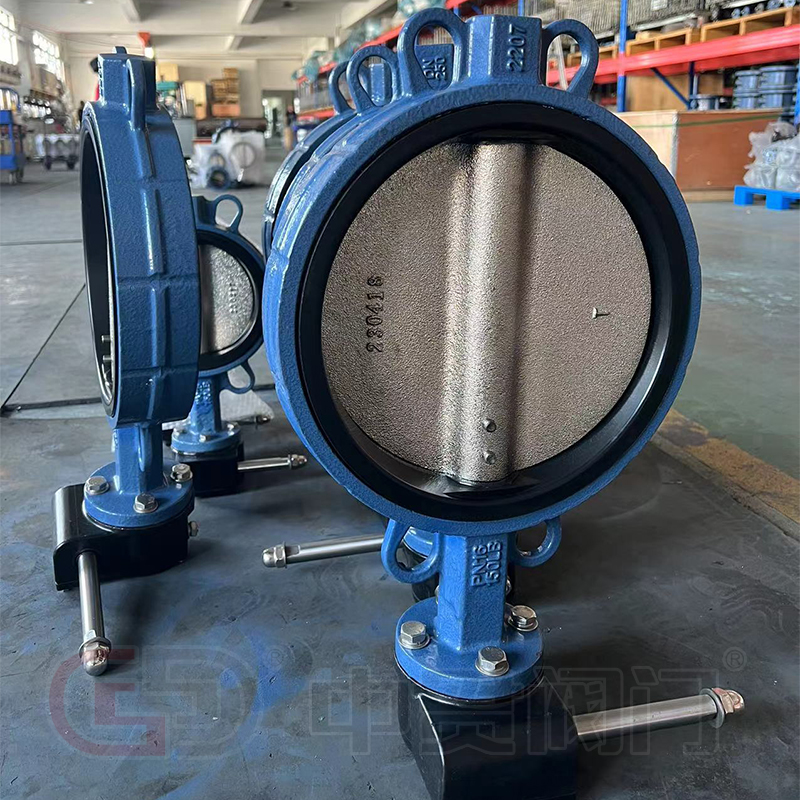 Quam cito Lego ius Valvae