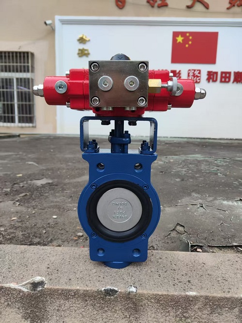 Eccentrici Papilio Valvae Hydraulic Actuator