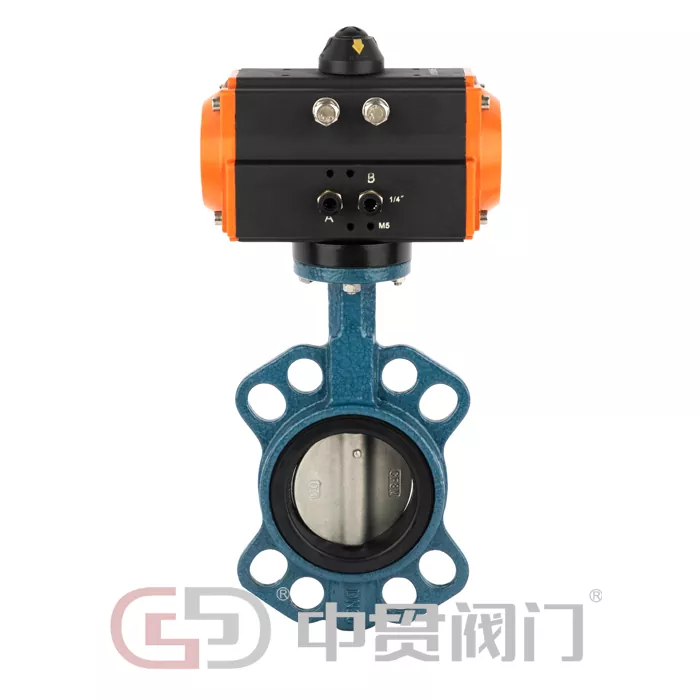 Pneumatic actuated papilio valvae