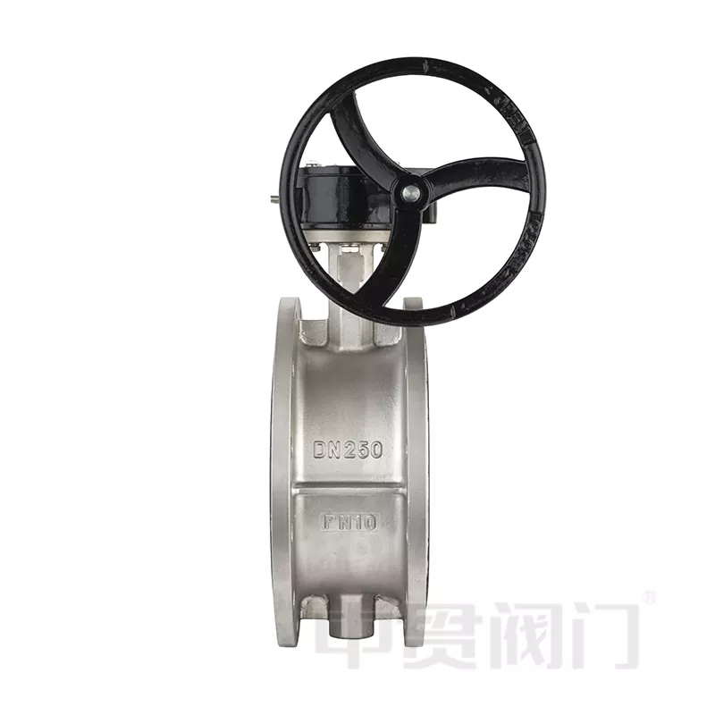 Stainless ferro LABIUM PAPFLY valvulae