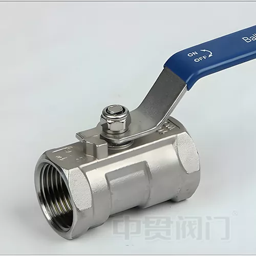Post Connection Aliquam Steel Pila valvae